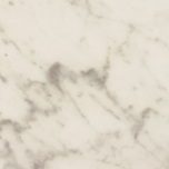 Carrara Marble (Shiny Coated)