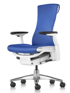Herman Miller® Embody® Chair