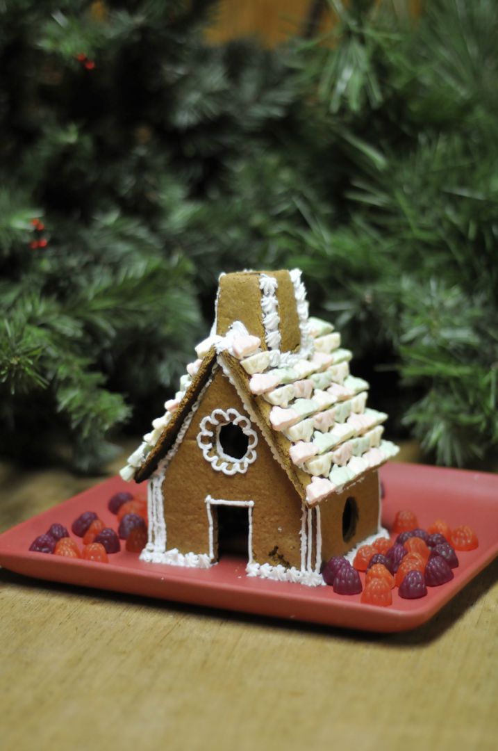 The Gingerbread Century House